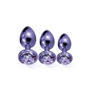 NIXIE METAL BUTT PLUGÂ TRAINERÂ SET, PURPLE METALLIC - 2