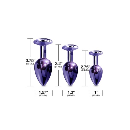 NIXIE METAL BUTT PLUGÂ TRAINERÂ SET, PURPLE METALLIC - 4