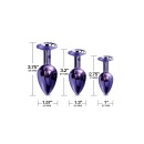 NIXIE METAL BUTT PLUGÂ TRAINERÂ SET, PURPLE METALLIC - 4
