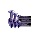 NIXIE METAL BUTT PLUGÂ TRAINERÂ SET, PURPLE METALLIC - 5
