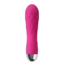 Wibrator i masażer Pro Delight 12,5 cm Różowy - 3
