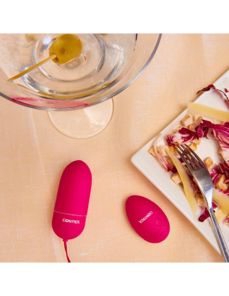 Control Remote Wireless - wibrujące jajko na pilot