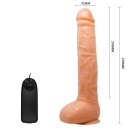 Realistyczny wibrator Penis Vibration z przyssawką, 24 cm - 5