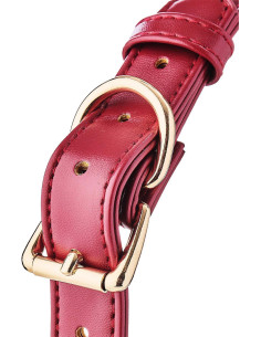 BLAZE ELITE BALL GAG RED 2