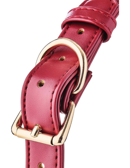 BLAZE ELITE BALL GAG RED