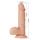 Realistyczne dildo Beautiful Bahamut z łukiem i przyssawką, 21,8 cm - 8