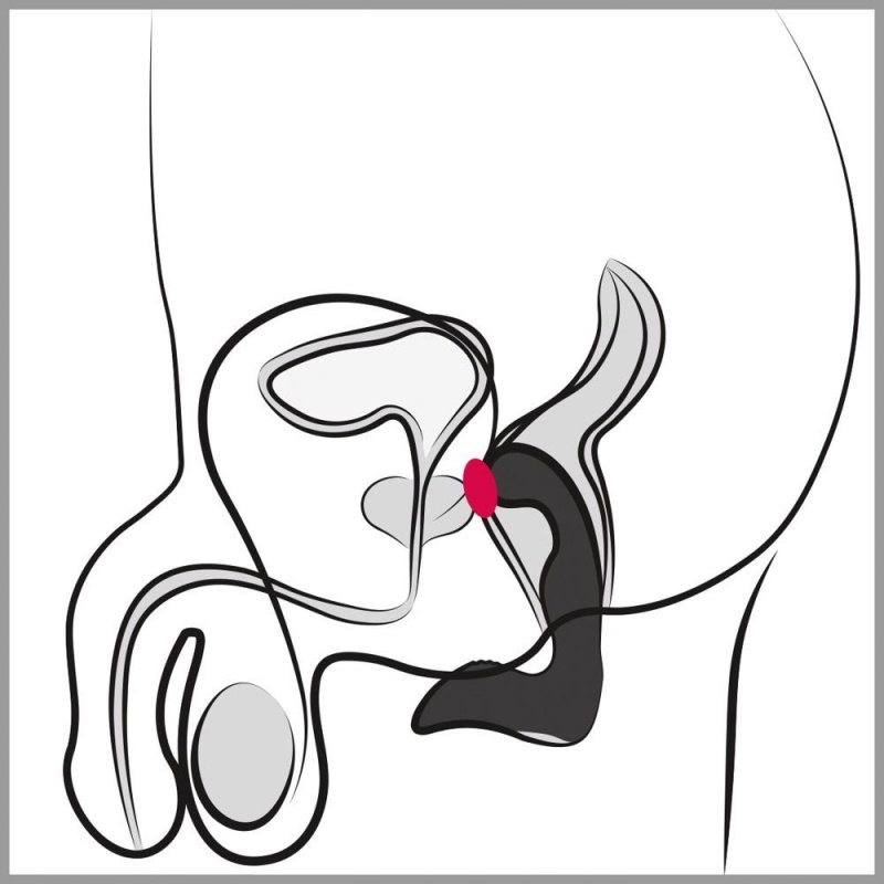 Wibrator prostaty Rebel Prostate Plug recharge – elastyczna konstrukcja z zakrzywioną głowicą i stymulatorem krocza, 9 trybów, d - 8