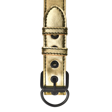 Obroża i smycz bondage metaliczna złota z regulacją 35.5-46.9 cm - 2