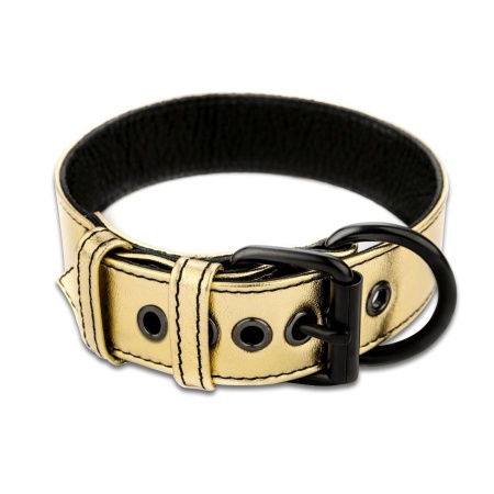 Obroża i smycz bondage metaliczna złota z regulacją 35.5-46.9 cm - 3