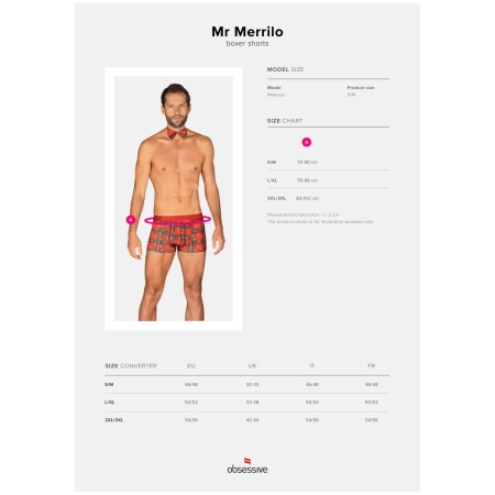 Mr Merrilo bokserki i mucha - 7