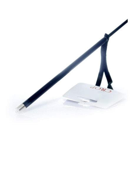 Fetish B - Series Crop