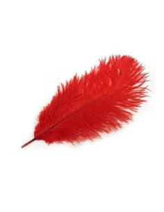 Miękkie piórko miłosne - czerwone