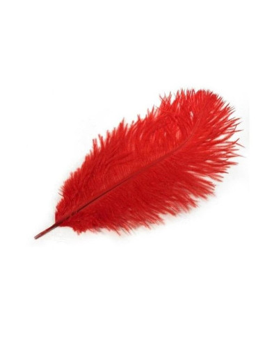 Miękkie piórko miłosne - czerwone