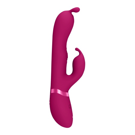 Gada - Vibrating Bunny Ear G-Spot Rabbit with Pulse Wave Shaft - 3
