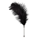 Feather black acrylic - 1