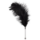 Feather black acrylic - 2