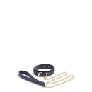 BONDAGE COUTURE COLLAR AND LEASH BLUE - 3
