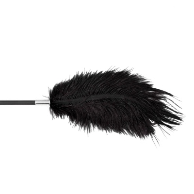 Fetish B-Series Tickler & Whip 1.0 - 1 2