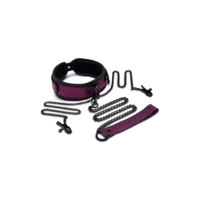 WHIPSMART DRAGON'S LAIR COLLAR, LEASH & NIPPLE CLIPS SET - 1 2