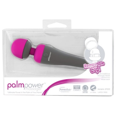 PalmPower Massager - 1