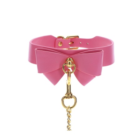 Collar and Leash Pink - 5