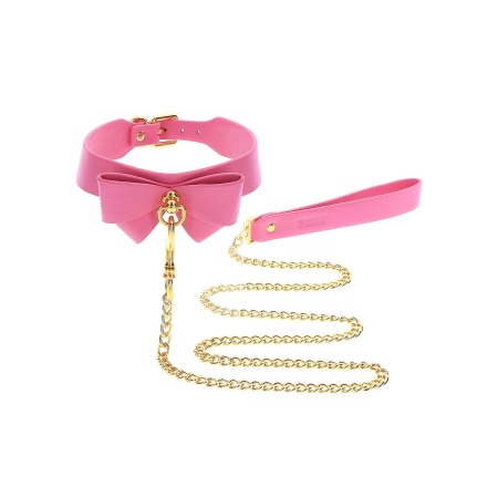 Collar and Leash Pink - 10