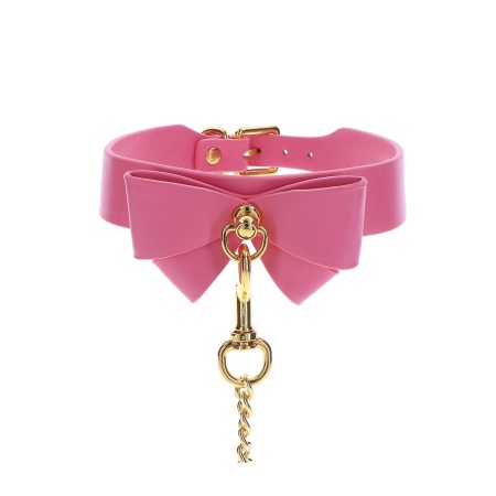 Collar and Leash Pink - 11