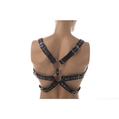 Chest harness - 1 2