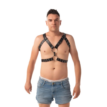 Chest harness - 3
