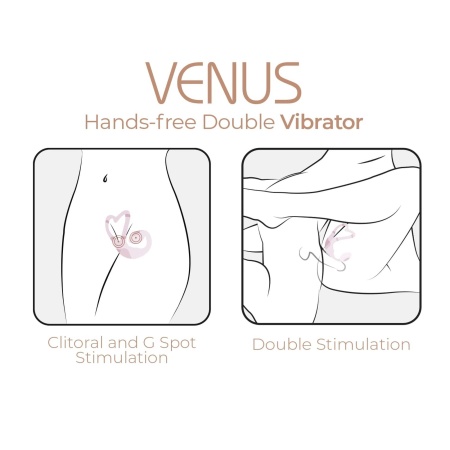 AD. Venus + APP - 6