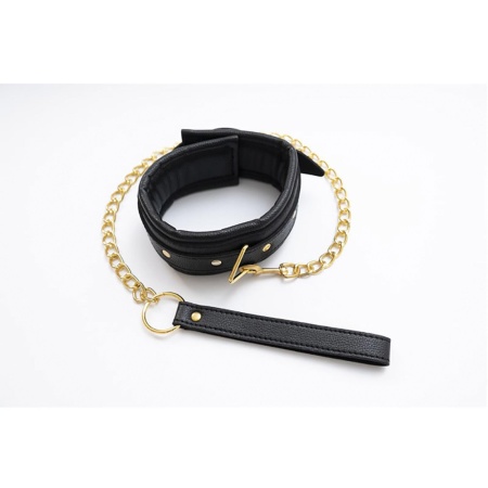 Collar with detachable leash - 3