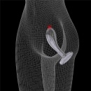 Stymulator prostaty LoveToy Flawless Clear Prostate Plug 15 cm przezroczysty - 7