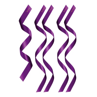 PACK HEADBANDS 1 + 4 PURPLE (Size: TU) - 1