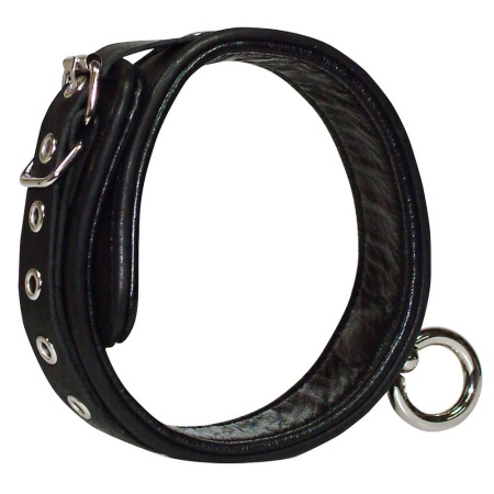 Leather Collar S-L - 2