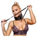 Leather Collar & Leash - 4