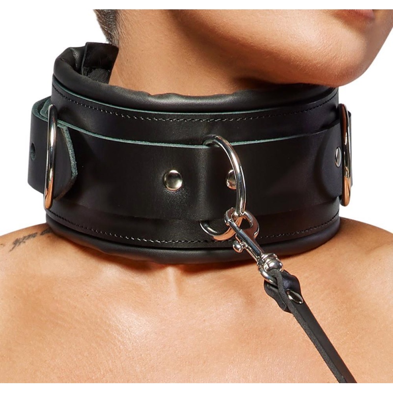 Leather Collar & Leash - 7