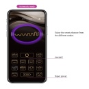 Wibrator Baird Purple z 12 trybami wibracji i aplikacją - 20 cm - 14