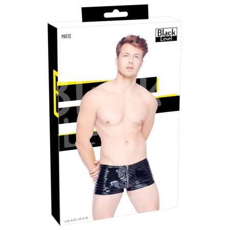 Vinyl M. Pants Biker L - 1