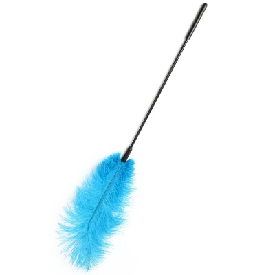 Double Feather Tickler Blue - 1