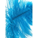 Double Feather Tickler Blue - 4