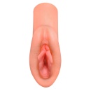 PDX Plus PP Dream Stroker — realistyczny masturbator TPR z zamkniętym tunelem ssącym, 14,8 cm - 3