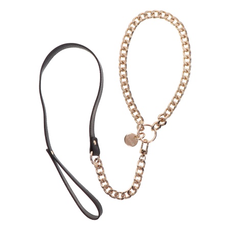 Statement Collar and leash Rose Gold - 16