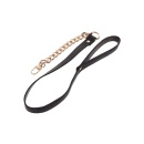 Statement Collar and leash Rose Gold - 22