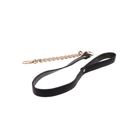 Statement Collar and leash Rose Gold - 23