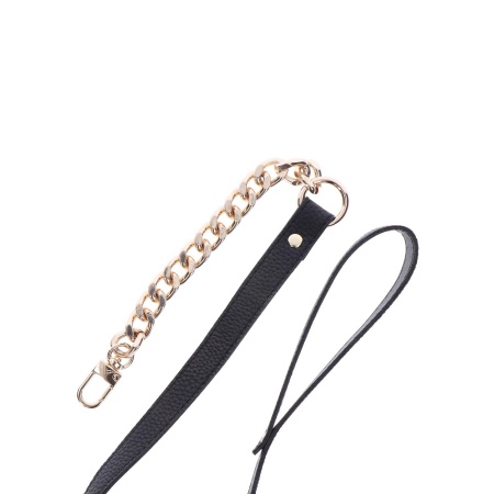 Statement Collar and leash Rose Gold - 24