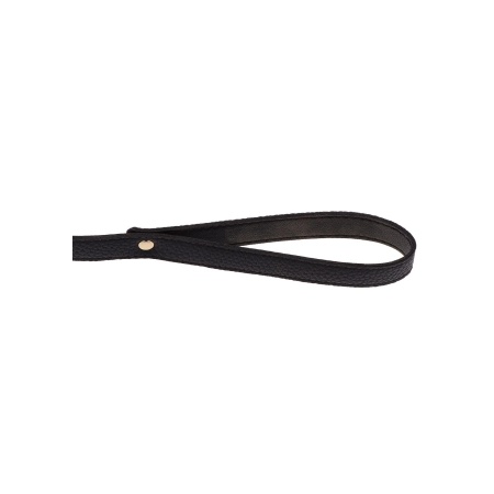 Statement Collar and leash Rose Gold - 25