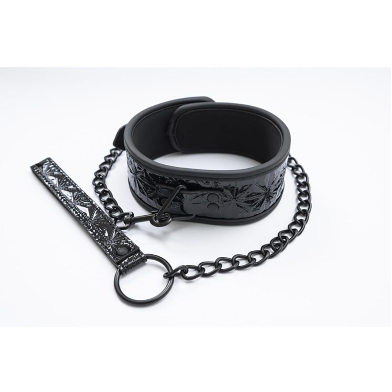 Collar with detachable leash - 3