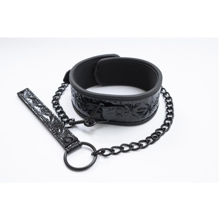 Collar with detachable leash - 3