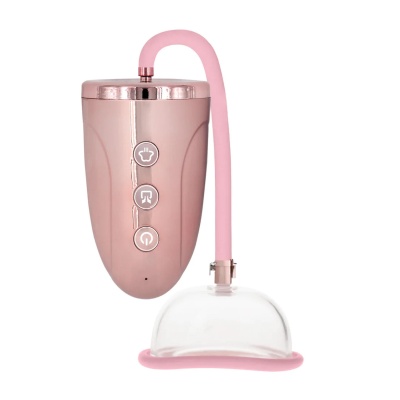 Rechargeable Pussy Pump - 1