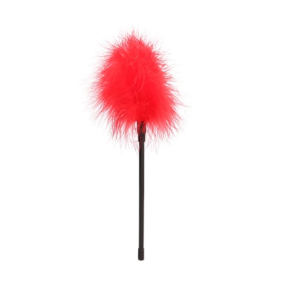 Feather - 1